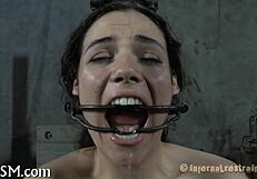 i explore electro castigation in sadomasochism