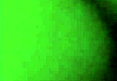 Peguei Ela De Quatro Com Grande Pau Preto