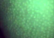 Squirting Starbaby Fucked to Perfection