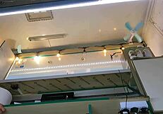 the boss chats with his shop assistant while she talks to the customer