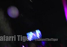 Buggati Bubblez Turnt Up Safarri Tiger Bbc Jimmyd In Da Club