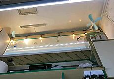 the boss chats with his shop assistant while she talks to the customer