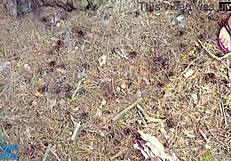 looking for a spot to cum in panties