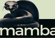 I Cum in Boss Wife Mouth After Caught!