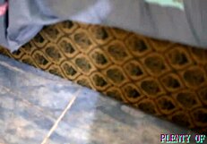 Sweet cherry blowjob and pussy fucking