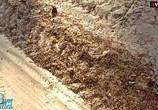 looking for a spot to cum in panties