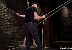 i feel the brunette getting anal toyed and vibed while hogtied