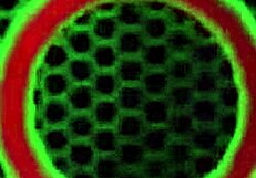 I'm big boobed blonde vicky vette masturbating to orgasm with a dildo