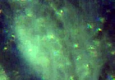 Aqui tienen m�s de mi esperma alcanzar� para pre�arte?