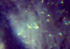 Aqui tienen m�s de mi esperma alcanzar� para pre�arte?