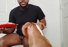 llamasr update 1 mar 18 2025 food solo