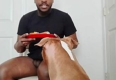 llamasr update 1 mar 18 2025 food solo