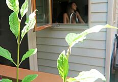 nikki was fucked from behind in doggystyle, her tits bouncing as the cock thrusts deep into her pussy