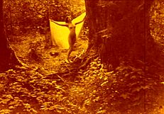 i love vintage erotic illustrations