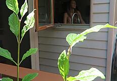 nikki was fucked from behind in doggystyle, her tits bouncing as the cock thrusts deep into her pussy