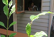 nikki was fucked from behind in doggystyle, her tits bouncing as the cock thrusts deep into her pussy