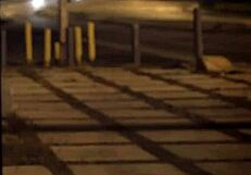 B Pussy Creampie Xxx Unless Youre From The Sixties And Delve