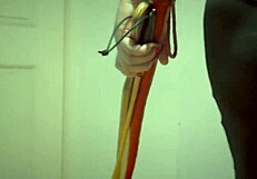 dominatrix mistress april with two mistresses and a sissy whore