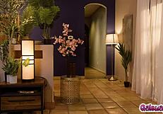 Romantic Sensual Session With Girlfriends Victoria Voxxx And Lilly Bell?