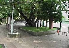 i picked up hot japanese chick mizuki and fucked her hard in the car, wow!