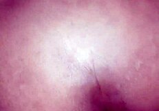 Morena's Anal Is Rico As She Gets Assfucked Hard