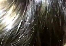 the story of hermosa argenta begins