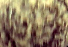 I share tips on how to perform oral pleasure.