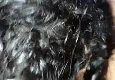 want to swallow my cum while i pound your hairy pussy deep?