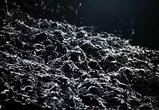 the piss exchange with lara fox by vipissy?