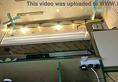 super cute step daughter voyeur hidden camera upskirt at work