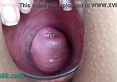 Extreme Cervix Electrosex: Intense Feelings With Sound Depth Into Womb