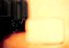 Vintage Mother Nature Reveals Hairy Beaver In Retro Setting