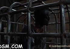 gagged and fastened up slave is being roughly pleasured with vibrator and toys in bdsm 😈