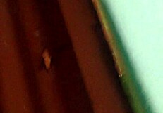 Mohana bathing in south indian hidden cam part 1