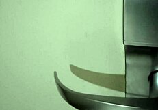 Moans Echo in the Hotel Room