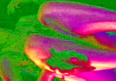 Bia Roman and Sam Quinn Engage in Detailed Foot Worship Bondage with Choking and Deepthroat Scenes