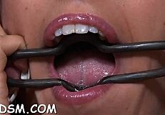 Sadomasochism Sex Porn