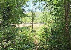 Clapham Common Cruising Trails - June 2025 Public Outdoor Adventures?