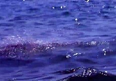 Isabelle Solis, French Algerian Mom, Getting Ass and Pussy Double Penetrated?