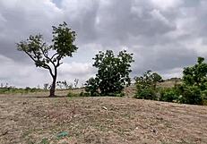 outdoor ass worship where a bitch gets dicked