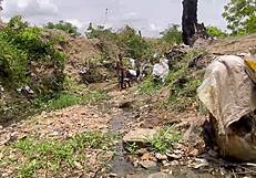 outdoor ass worship where a bitch gets dicked