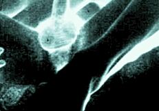 In the PAST, vintage EROTIC drawings were created by artists.