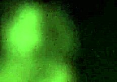 Broken Slut Britney Obedience Training for a Cum Whore