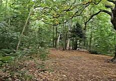 Clapham Common Cruising Trails - June 2025 Public Outdoor Adventures?