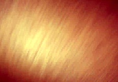 I observed royalty engaging in anal sex with a partner