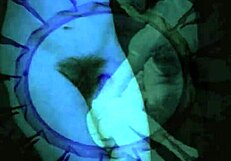 I remember admiring vintage art pieces from the antique era