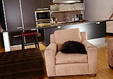 Jenevieve Hexx and Vinyl Vixon Suck Big Dick POV Cum Swap Swallow