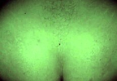 Short Dominican BBW's amateur homemade hides curvy ass riding surprises?