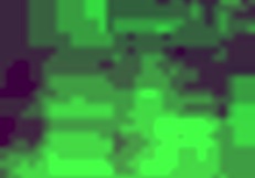 My vietnamese beauty's dripping wet with just a hint of that sweet nectar flowing