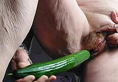 granny teases her hairy old pussy with a thick cucumber insertion